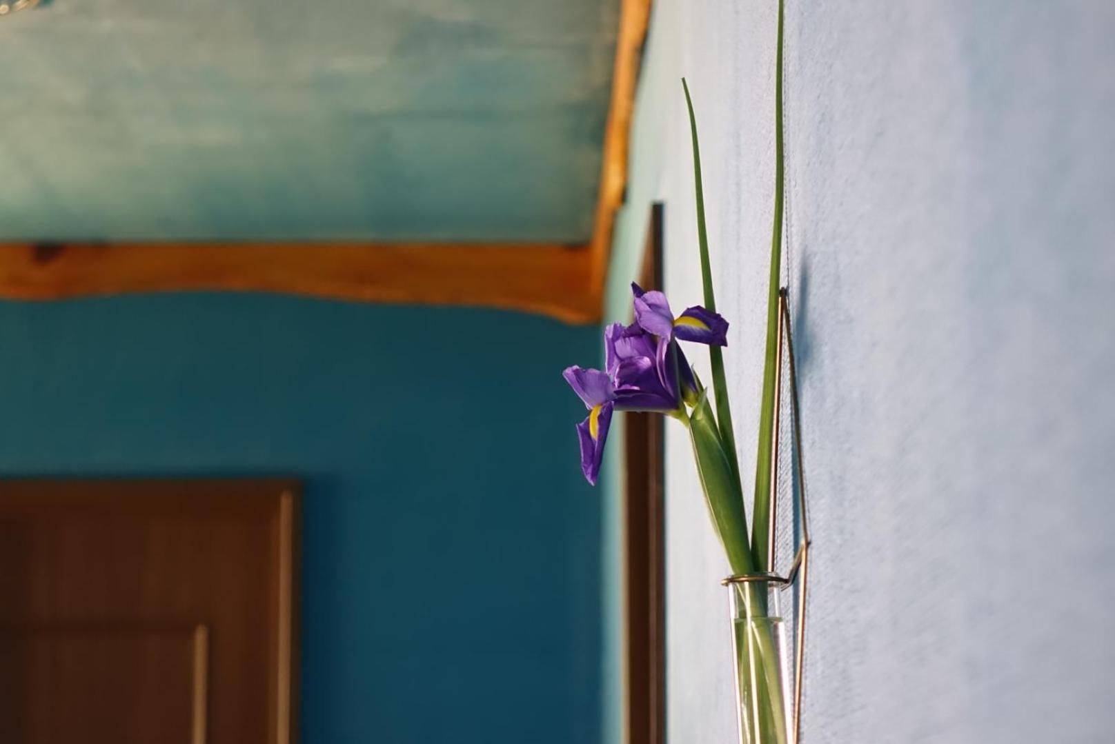 Lodge Mondo Nishiizu Zewnętrze zdjęcie